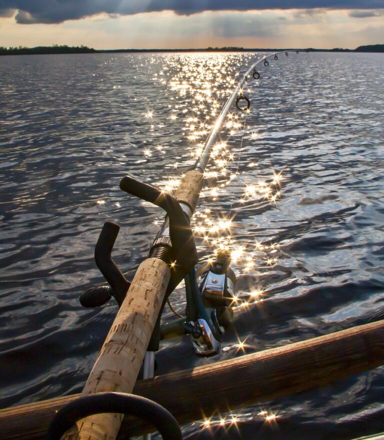 How to Catch Bass Fish in 8 Easy Steps